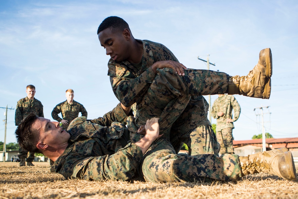 US Marines with SPMAGTF-SC take part in a MCMAP brown belt course