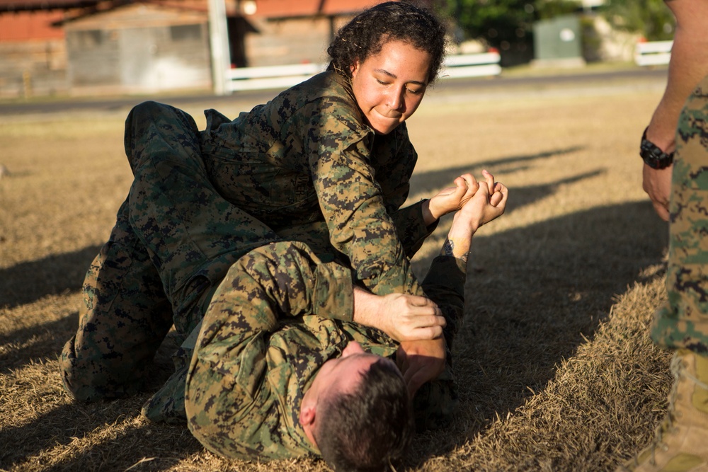 US Marines with SPMAGTF-SC take part in a MCMAP brown belt course