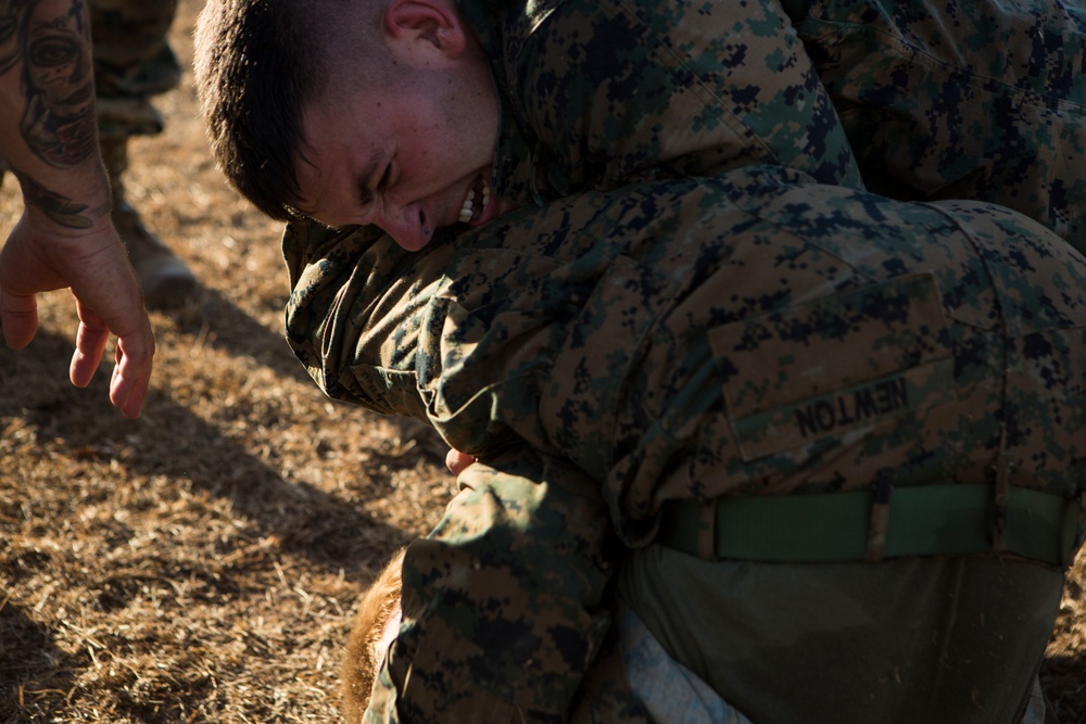 US Marines with SPMAGTF-SC take part in a MCMAP brown belt course