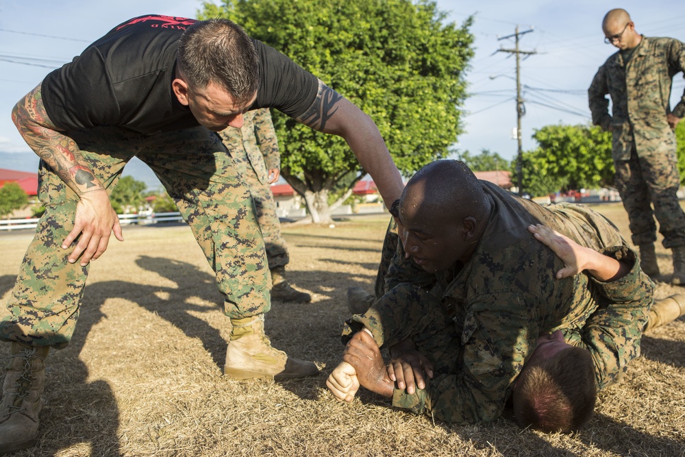 US Marines with SPMAGTF-SC take part in a MCMAP brown belt course