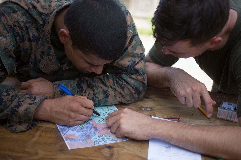 Combat Instructor Stakes