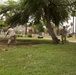 Marines help clean and restore Phoenix park