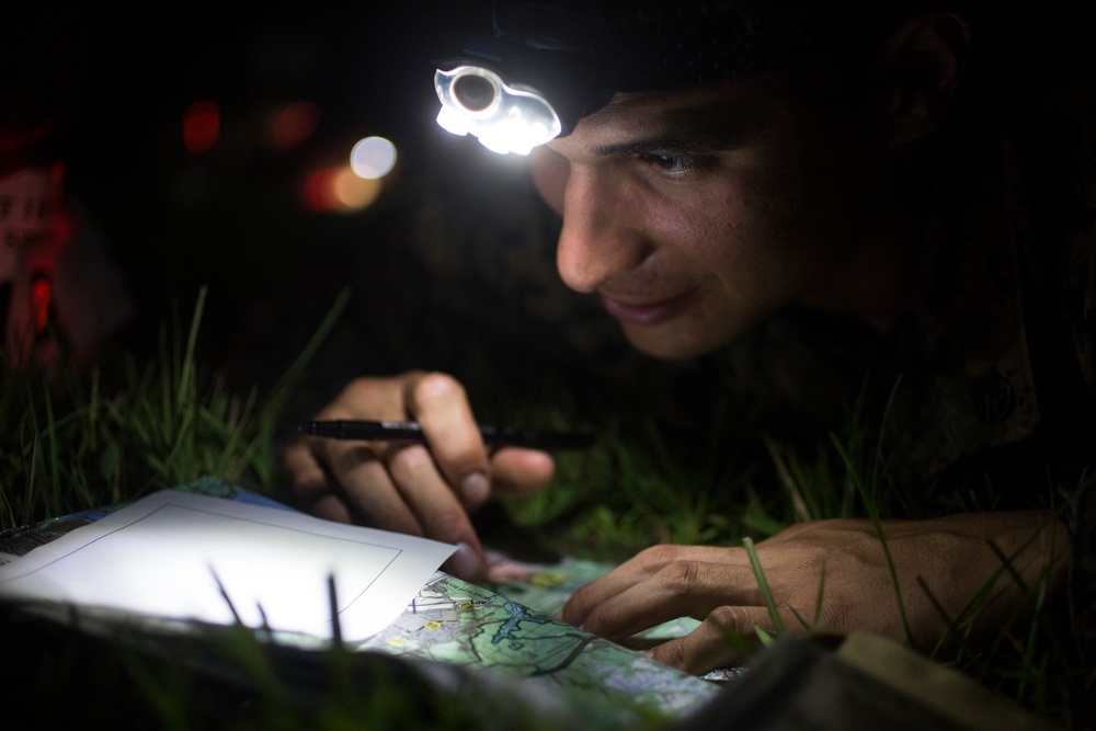 Combat Instructor Stakes