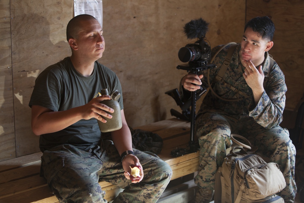 Combat Instructor Stakes