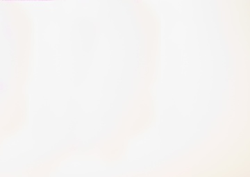 N.C. and W. Va. National Guard Soldiers claim MNBG-E’s top honors for September