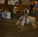 Marines attend rodeo during Marine Week Phoenix