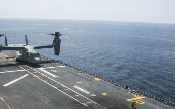 American Osprey lands on Spanish ship