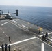 American Osprey lands on Spanish ship
