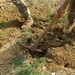 ‘Sky Soldiers’ lead outreach project at Bulgarian school