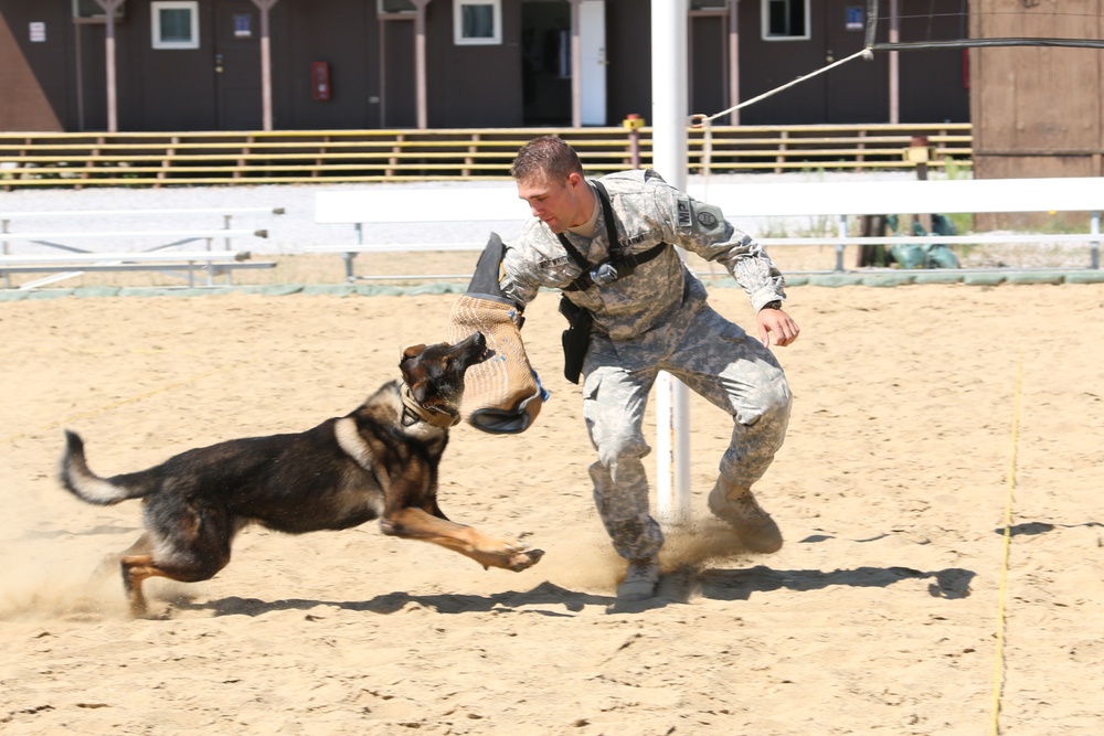 US troops open Camp Bondsteel to Kosovo students for a day