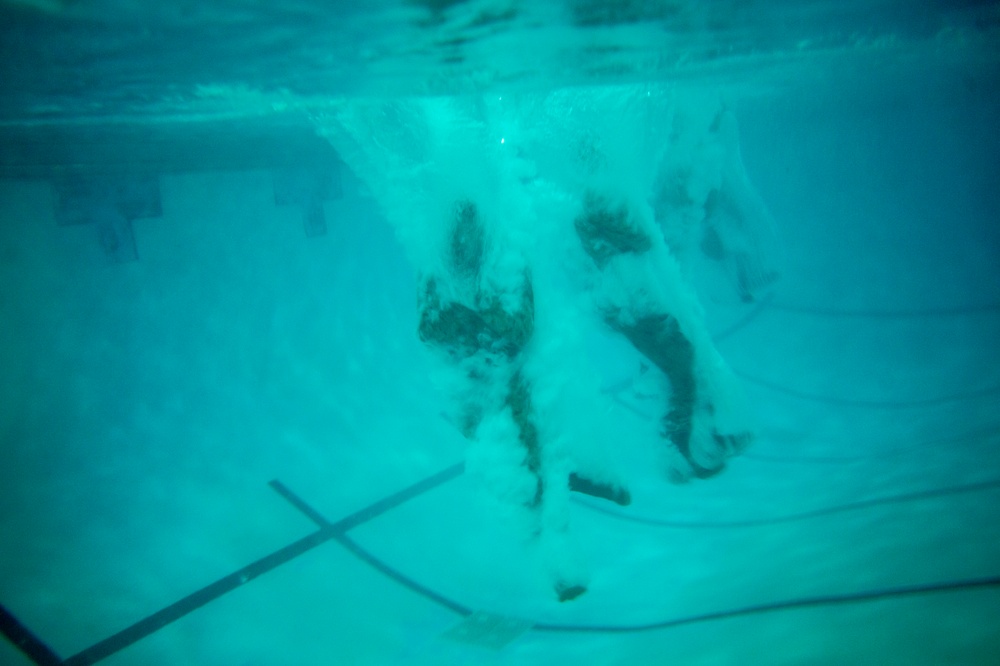 The Basic School Golf Co Swim Qual