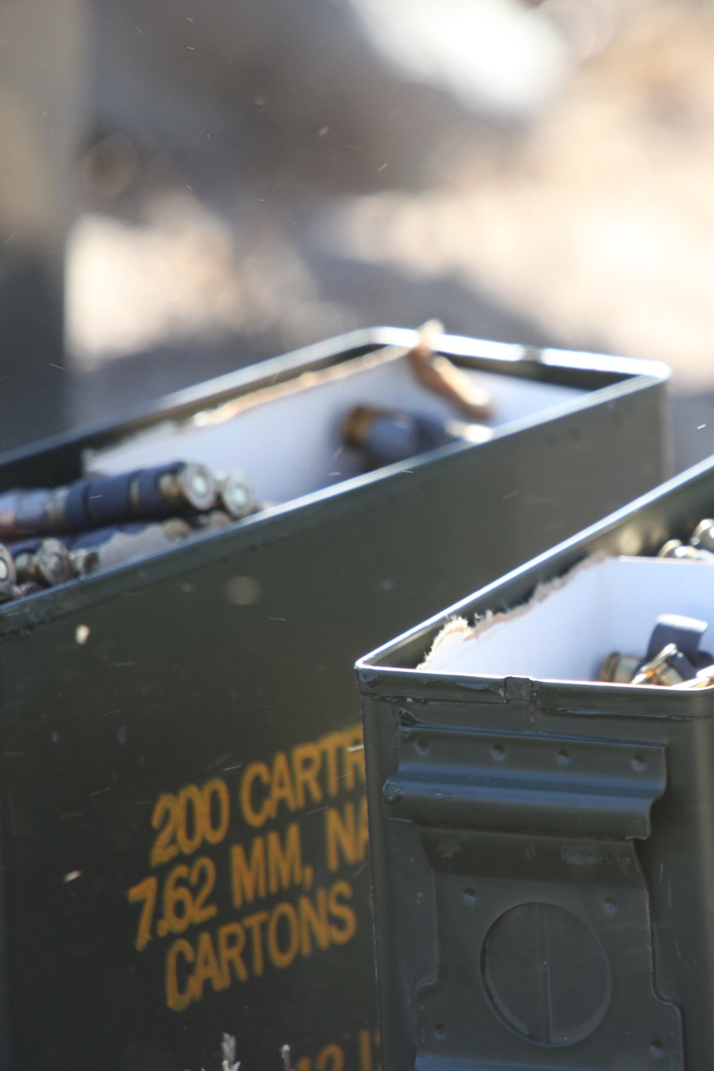 Sentry Savannah 2015