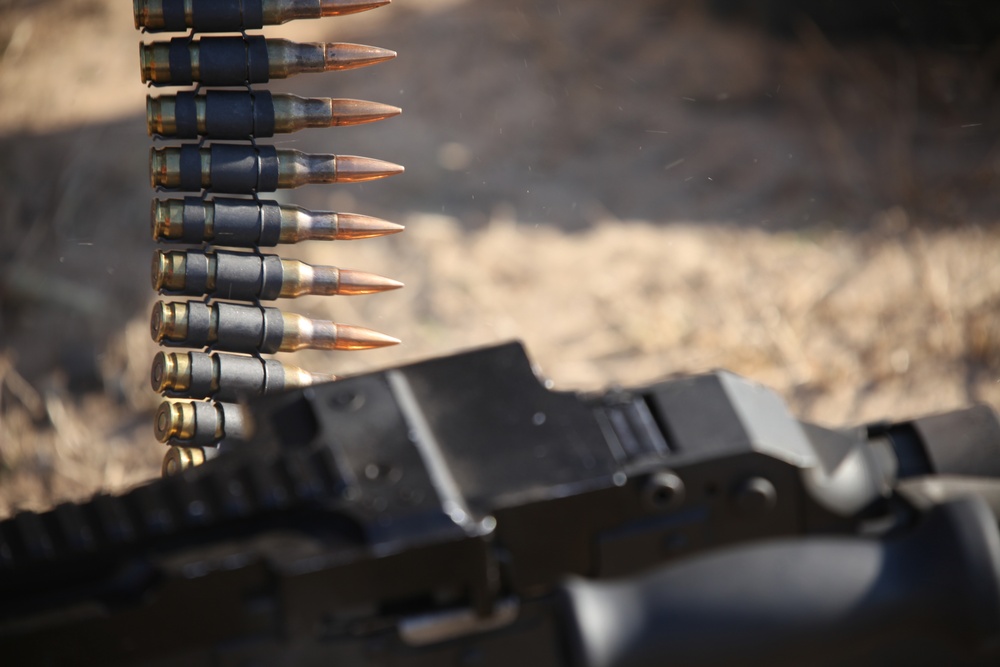 Sentry Savannah 2015