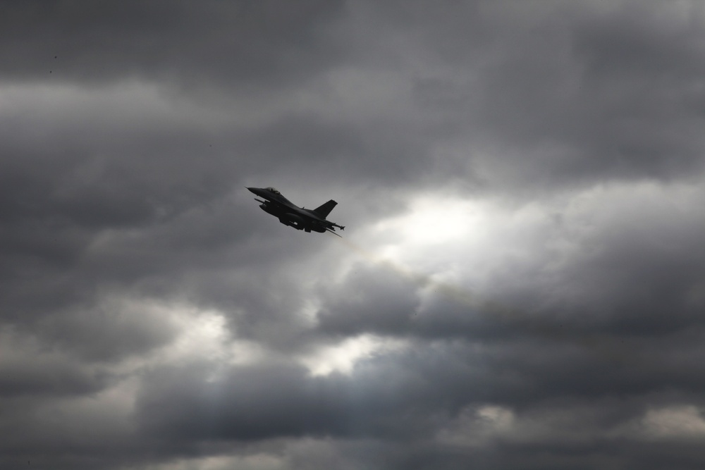 Sentry Savannah 2015