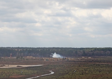 Sentry Savannah 2015