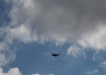 Sentry Savannah 2015