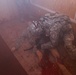 USAREUR Best Warrior Competition