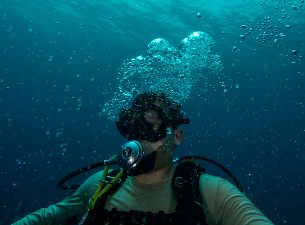 Joint diving exercise