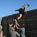 Baylor softball players catch up on Army training