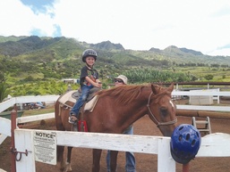 Must love horses: Volunteers needed for horse sanctuary