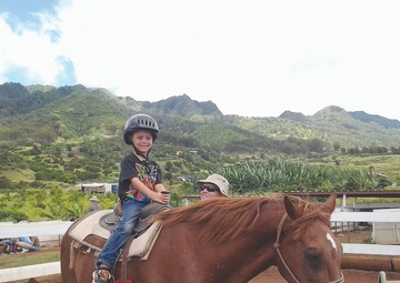 Must love horses: Volunteers needed for horse sanctuary