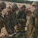 NATO allies unite during Operation Slovak Shield
