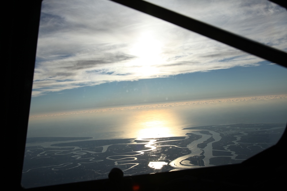 Sentry Savannah 2015