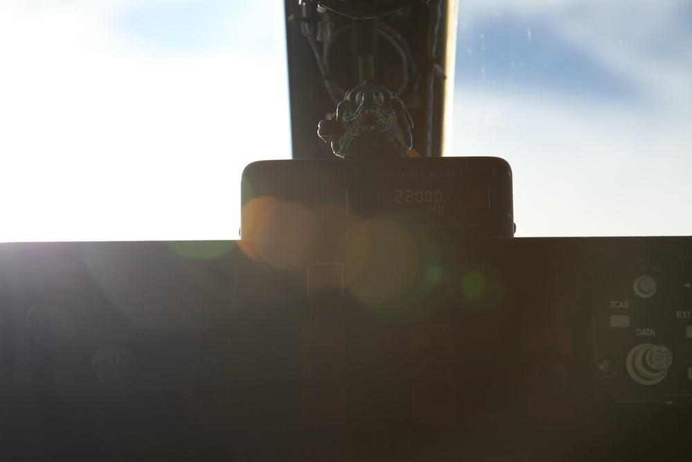 Sentry Savannah 2015