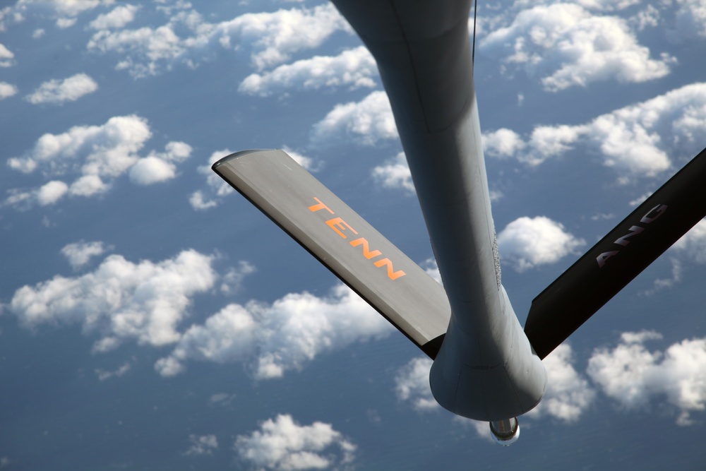 Sentry Savannah 2015