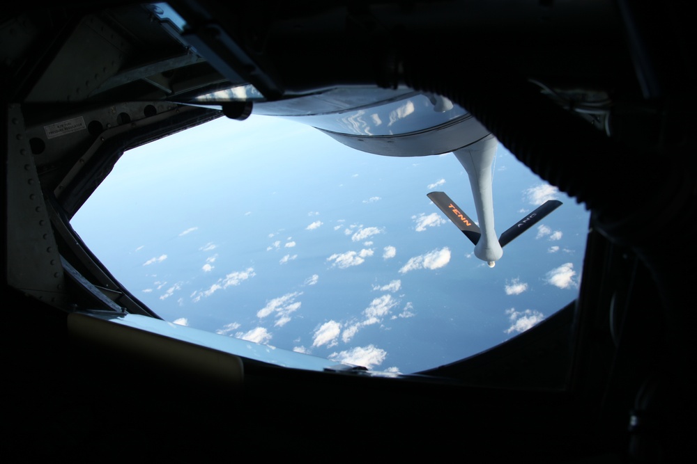 Sentry Savannah 2015