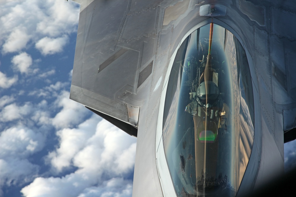 Sentry Savannah 2015