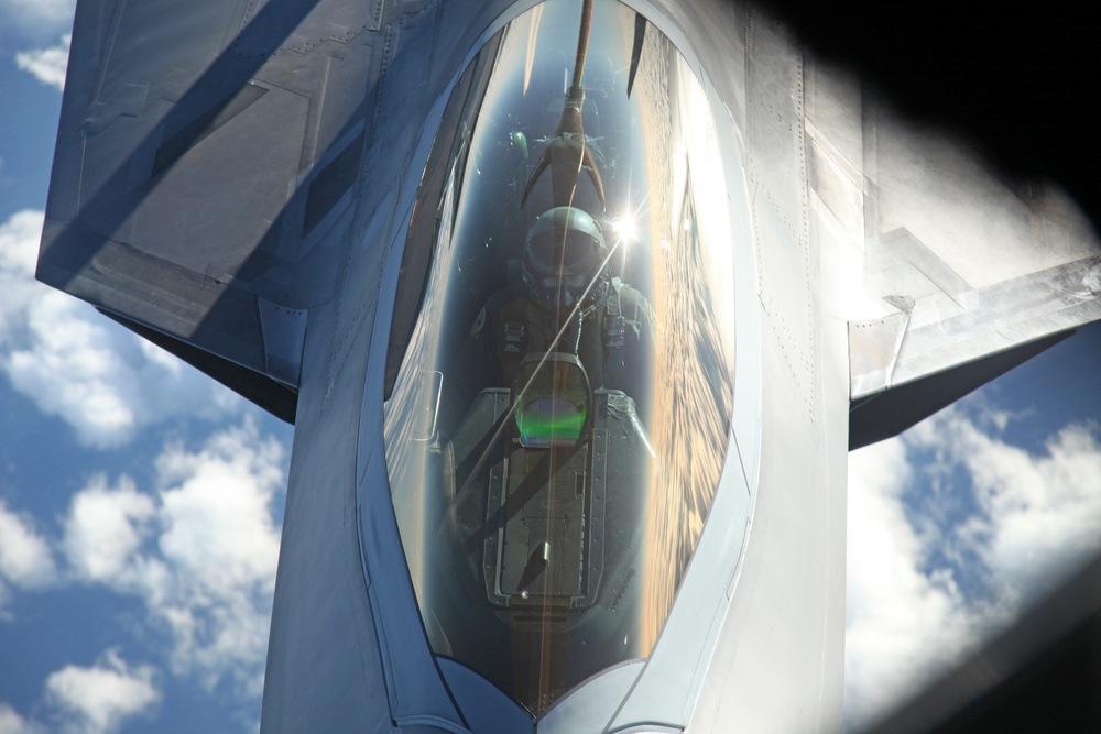 Sentry Savannah 2015