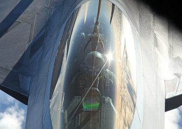 Sentry Savannah 2015