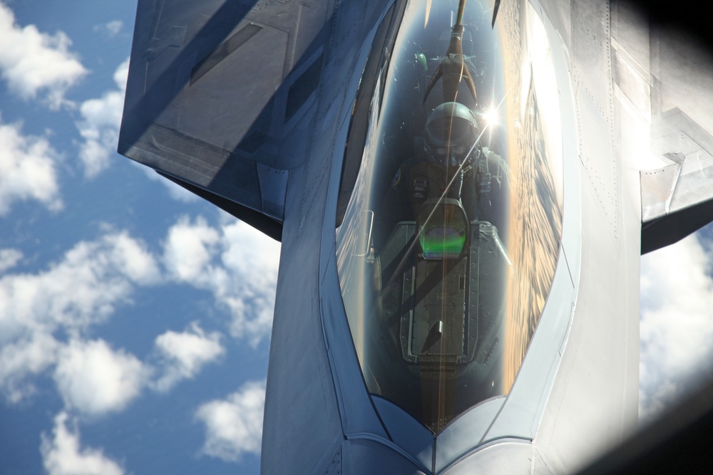 Sentry Savannah 2015