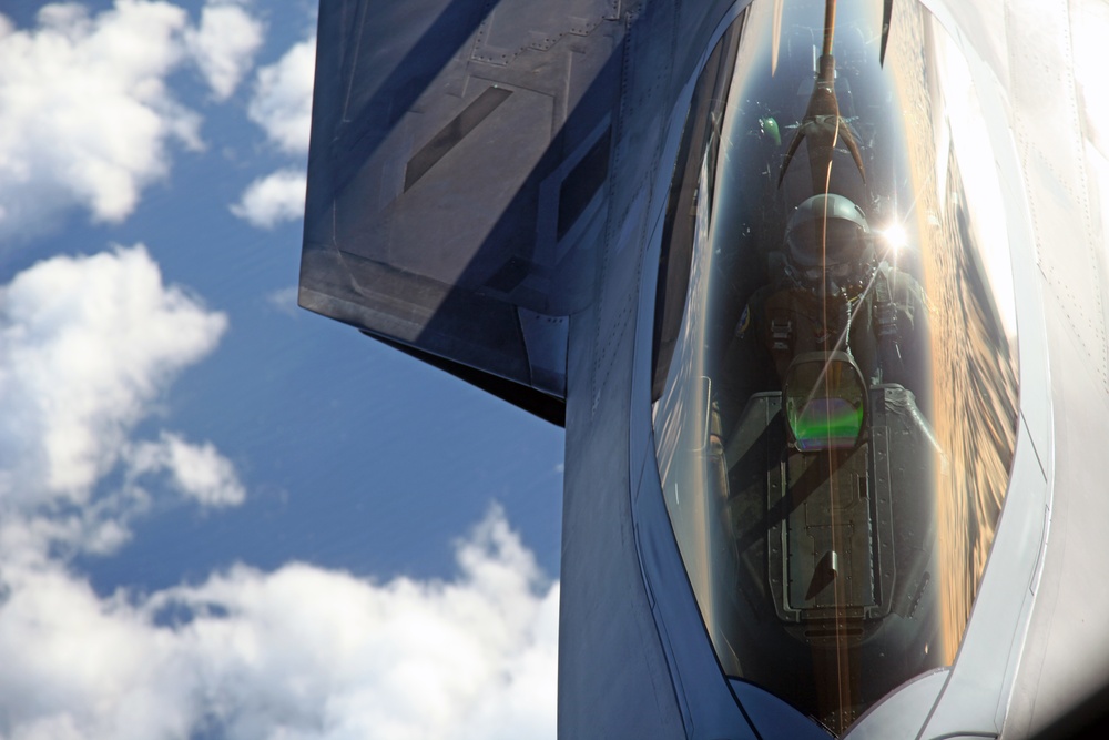 Sentry Savannah 2015