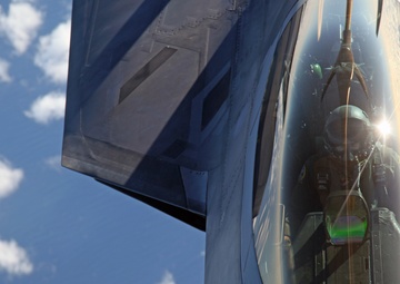 Sentry Savannah 2015