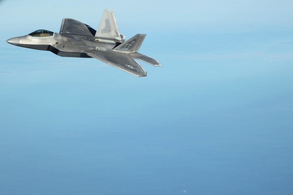 Sentry Savannah 2015