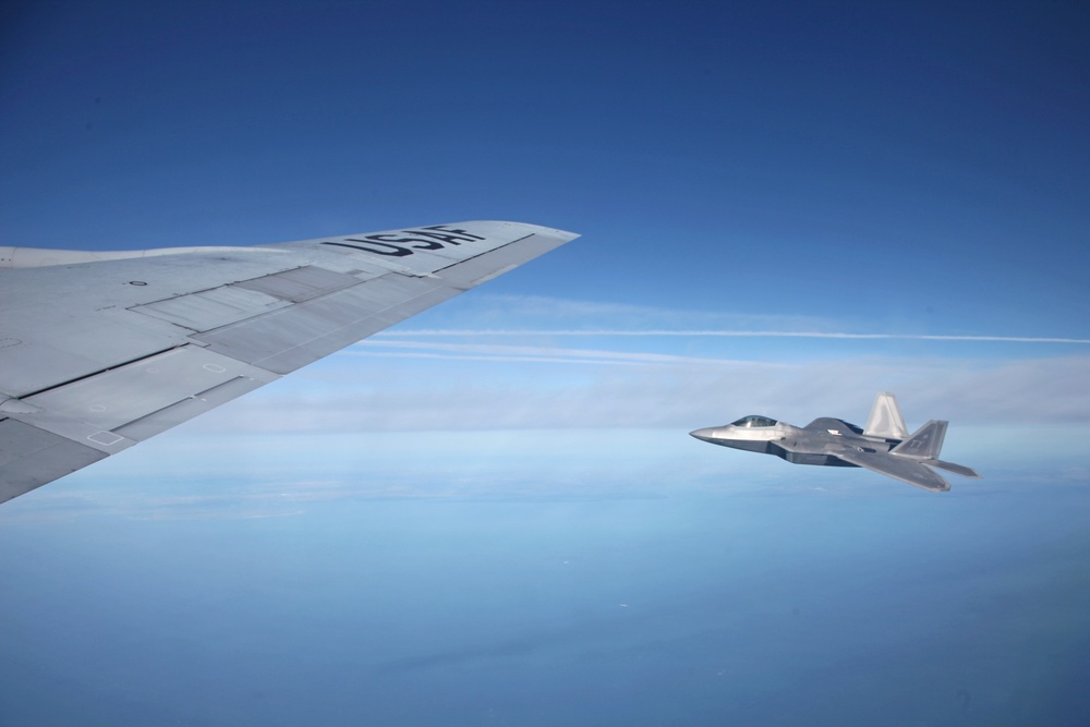 Sentry Savannah 2015