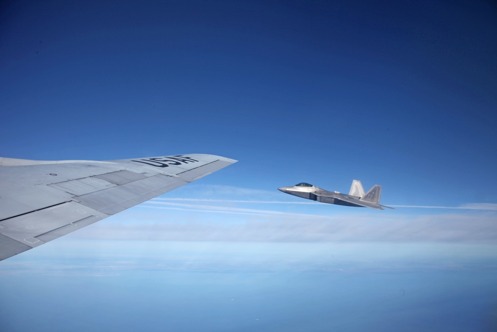 Sentry Savannah 2015