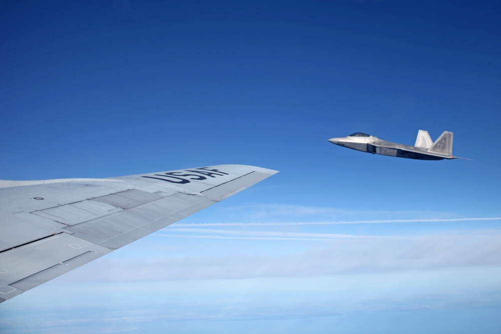 Sentry Savannah 2015