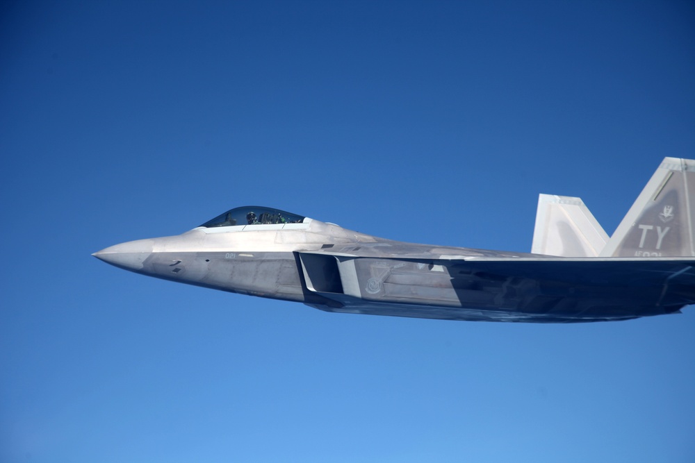 Sentry Savannah 2015