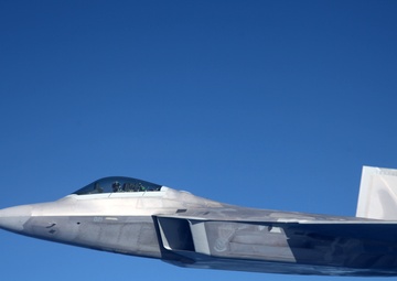 Sentry Savannah 2015