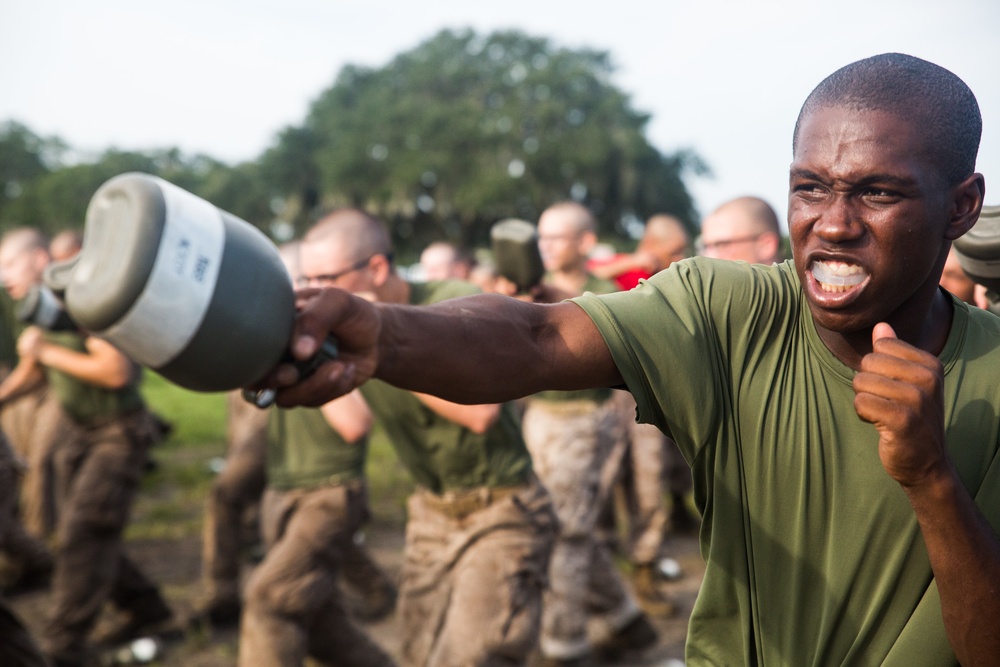 Parris Island recruits learn to fight like Marines