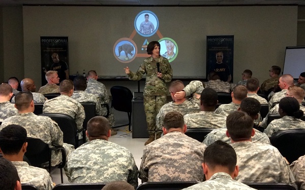 A military briefing or training session is taking place in an auditorium-style room where a uniformed soldier stands at the front addressing a large audience of soldiers seated in rows. The presenter is holding a microphone and gesturing toward a projected presentation screen displaying what appears to be a triangular diagram with circular images. Two 'Professional Army' banner stands are visible flanking the presentation area.