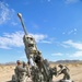 Decisive Action Rotation 15-10 at the National Training Center