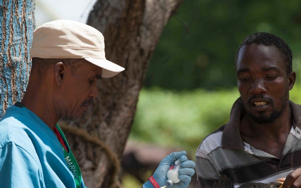 Continuing Promise 15