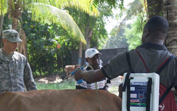 Continuing Promise 15