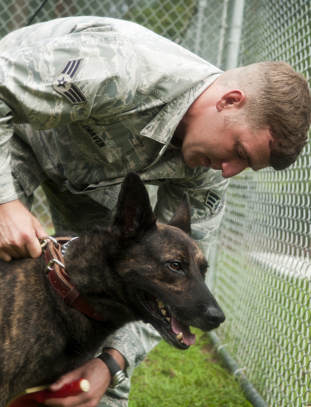 4th SFS’ newest team protect, defend base
