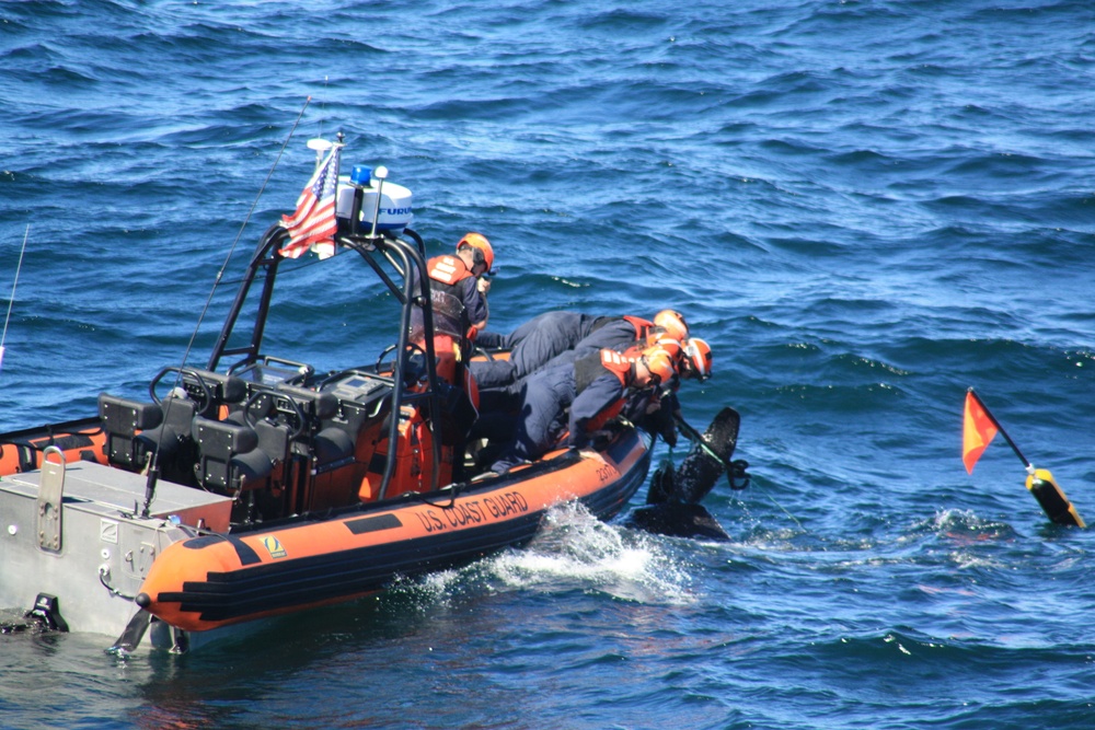 Coast Guard Cutter Campbell saves Leatherback turtle