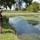 Fishing Fishing